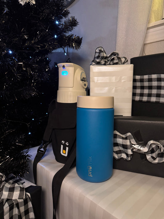 pnümix - The Overlander