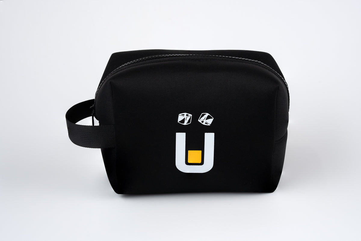 Head Unit Carry Case