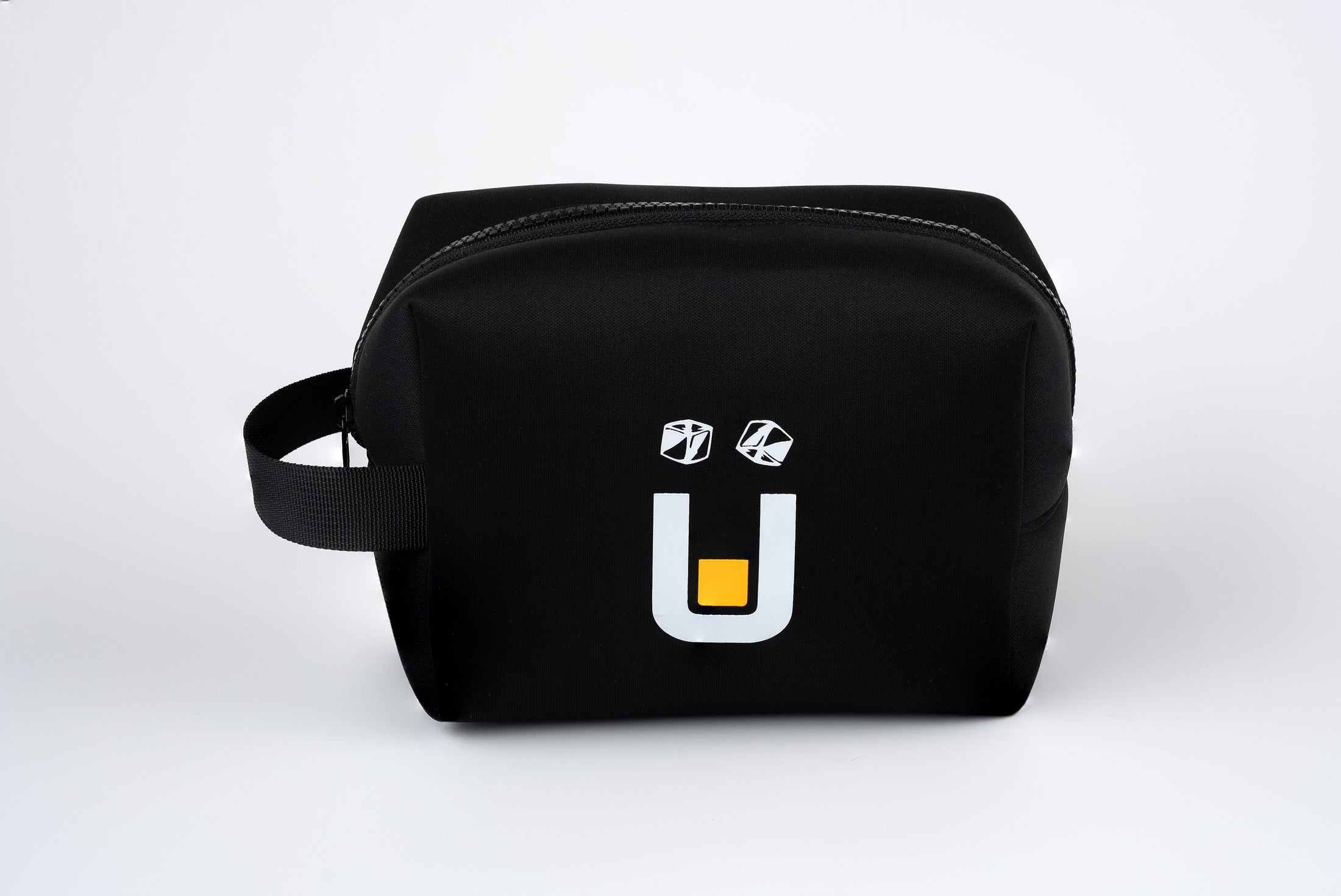 Head Unit Carry Case