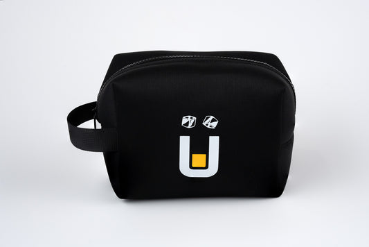 Head Unit Carry Case