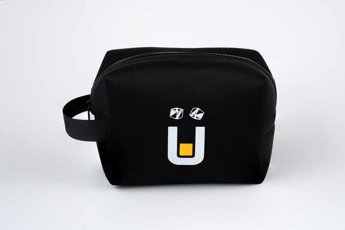 Head Unit Carrying Case